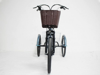 Электровелосипед GreenCamel Трайк-B (R24 500W 48V 20Ah)