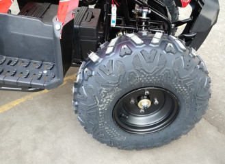 Квадроцикл GreenCamel Атакама T320 (48V 1000W R8) красный паук