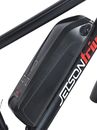 Электровелосипед Jetson TRIUMPH 36V/13Ah черный