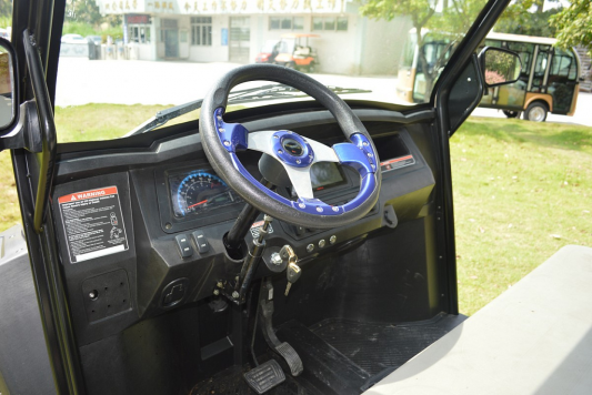 Багги LT604F2