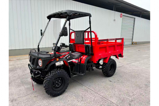 Электроквадроцикл грузовой CARGO ATV
